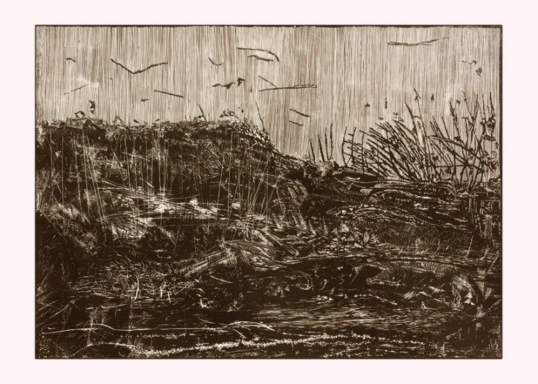 Meadow 2 | linocut | 50×70 cm